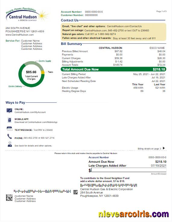 USA NEW YORK CENTRAL HUDSON utility bill